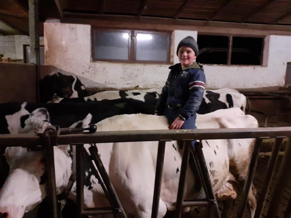 Schweiggerhof -Agriturismo- Farm Holidays Villandro Εξωτερικό φωτογραφία