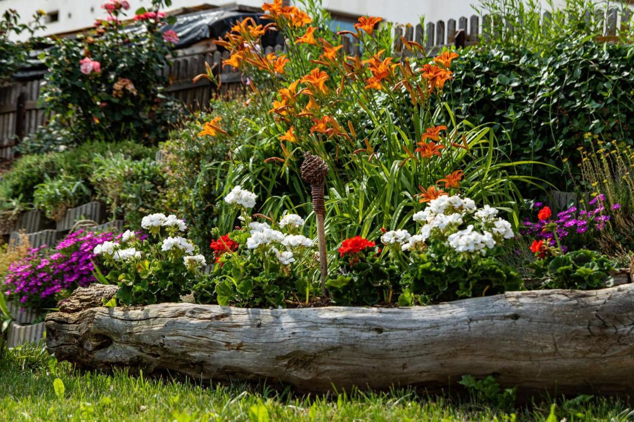 Schweiggerhof -Agriturismo- Farm Holidays Villandro Εξωτερικό φωτογραφία