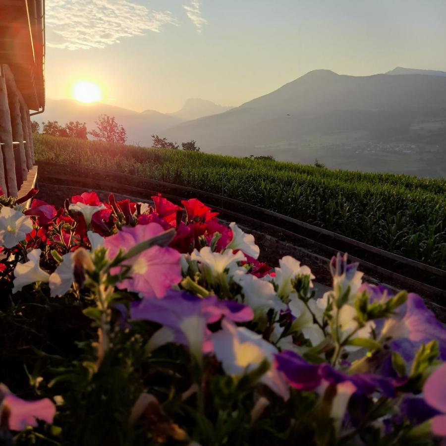 Schweiggerhof -Agriturismo- Farm Holidays Villandro Εξωτερικό φωτογραφία