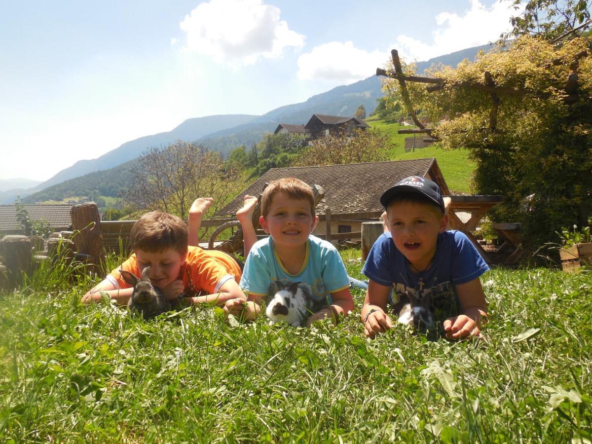 Schweiggerhof -Agriturismo- Farm Holidays Villandro Εξωτερικό φωτογραφία
