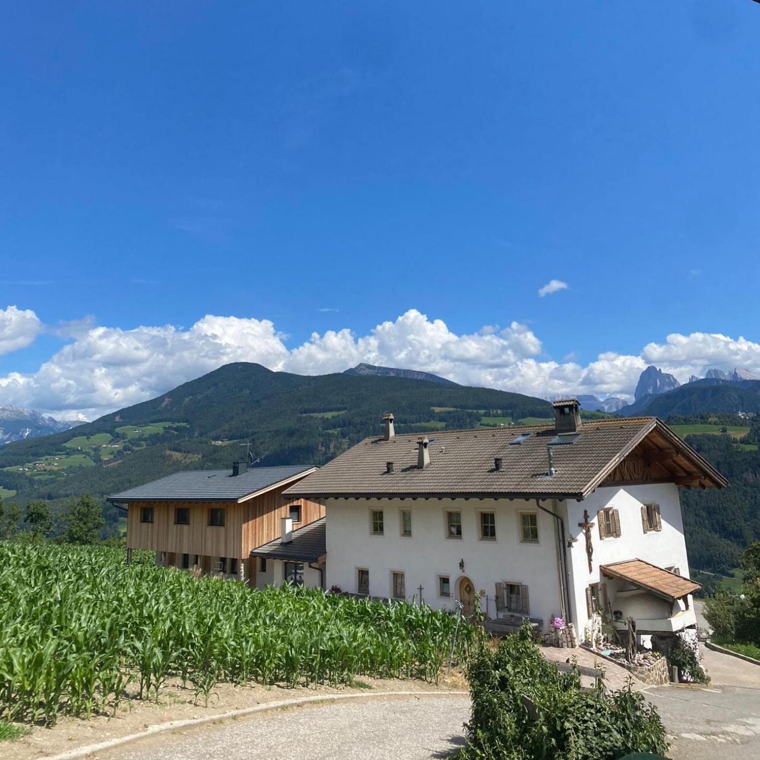 Schweiggerhof -Agriturismo- Farm Holidays Villandro Εξωτερικό φωτογραφία